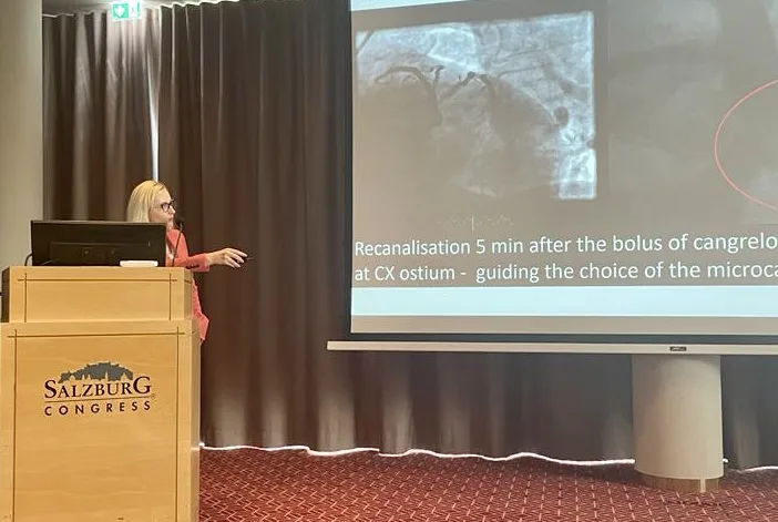 07d53ef1-fe0d-4987-a2d7-895bee757c10