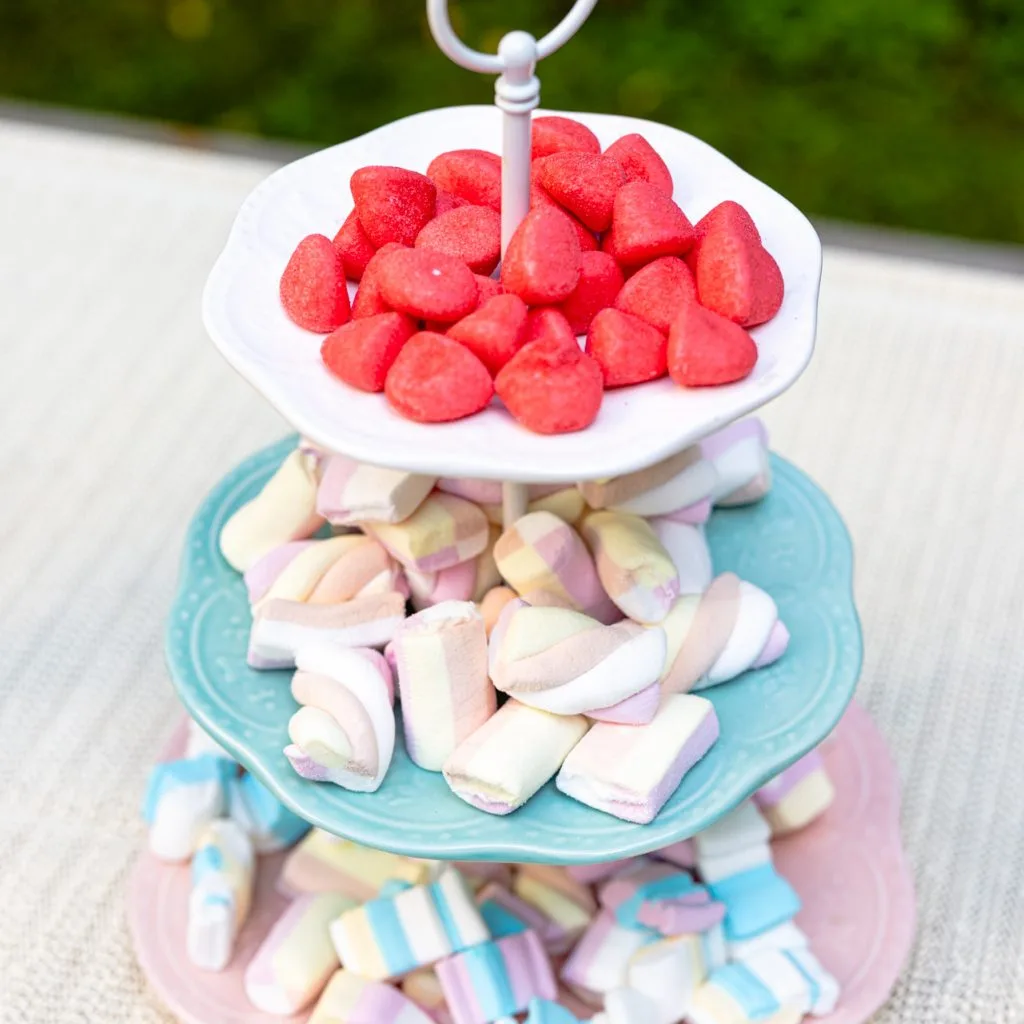 20230615_Ordinationseröffnung Siller-Matula