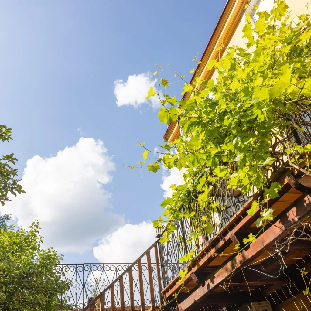 20230615_Ordinationseröffnung Siller-Matula