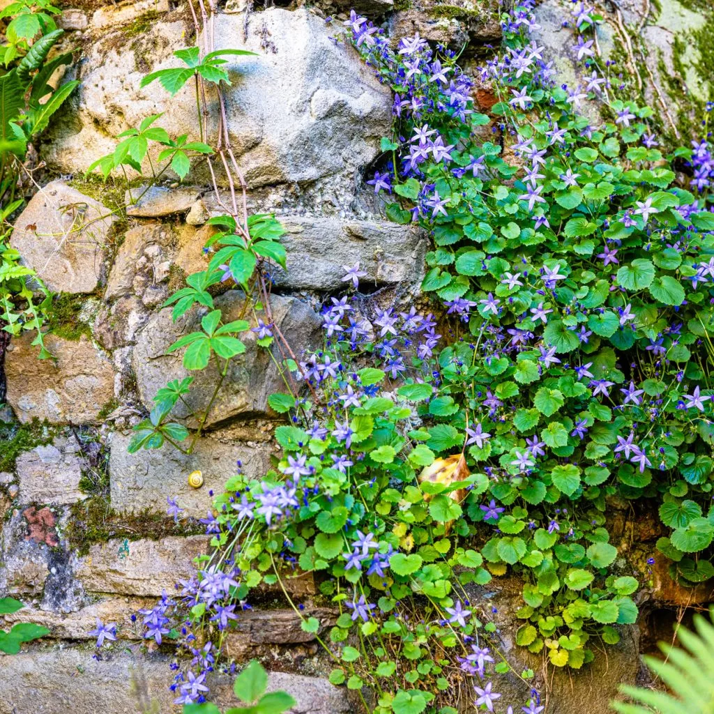 20230615_Ordinationseröffnung Siller-Matula